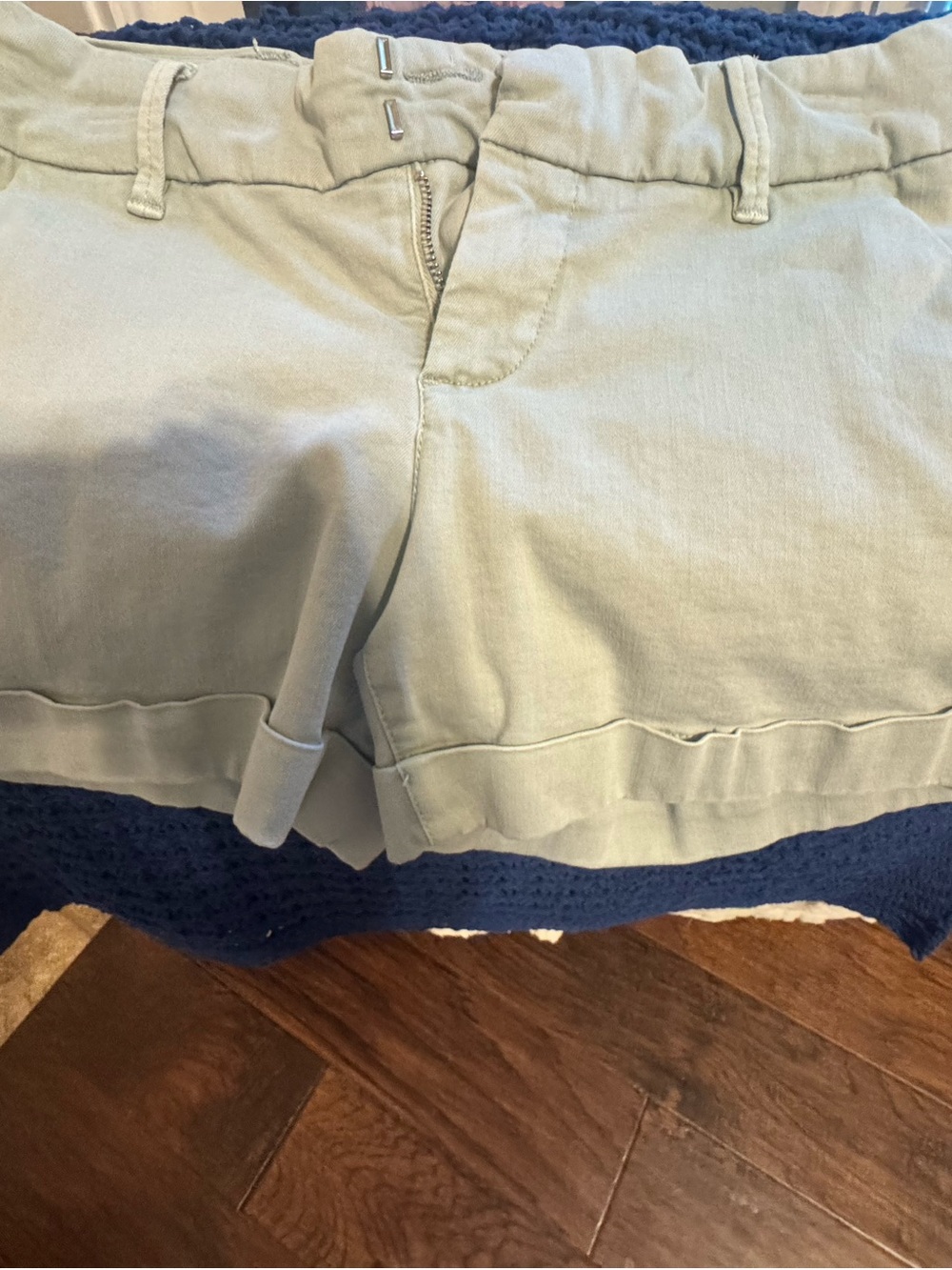 Dear John Flat Front Shorts - Sage Green